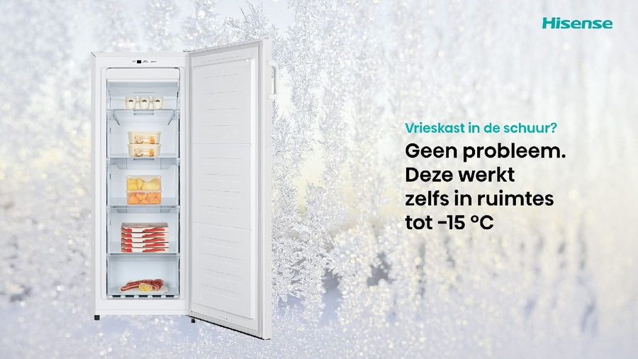 Hisense FV191N4AWD Vriezer  11