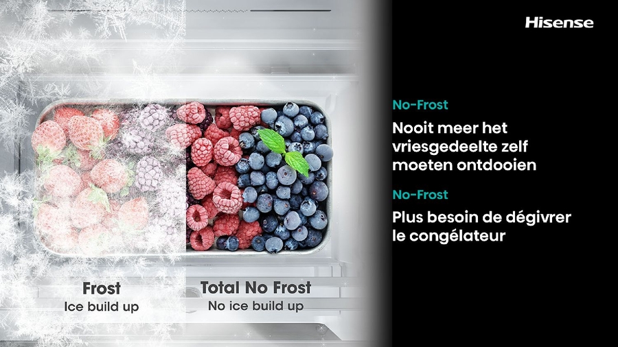 Hisense RB5K330GSFC Koel-vriescombinatie 32