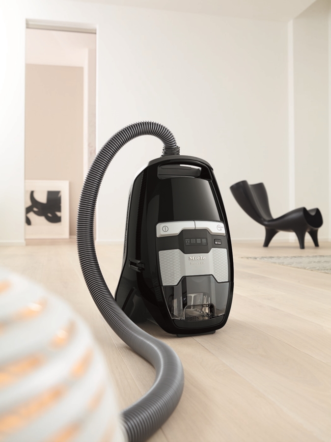 electrolux ergorapido allergy filter